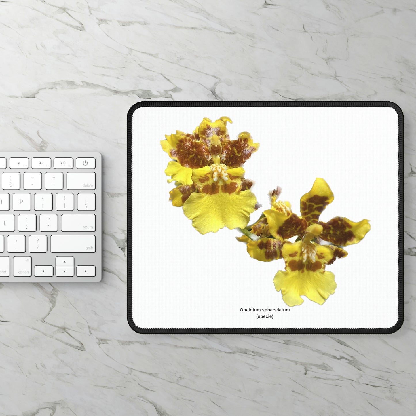 Oncidium sphacelatum Orchid Mouse Pad