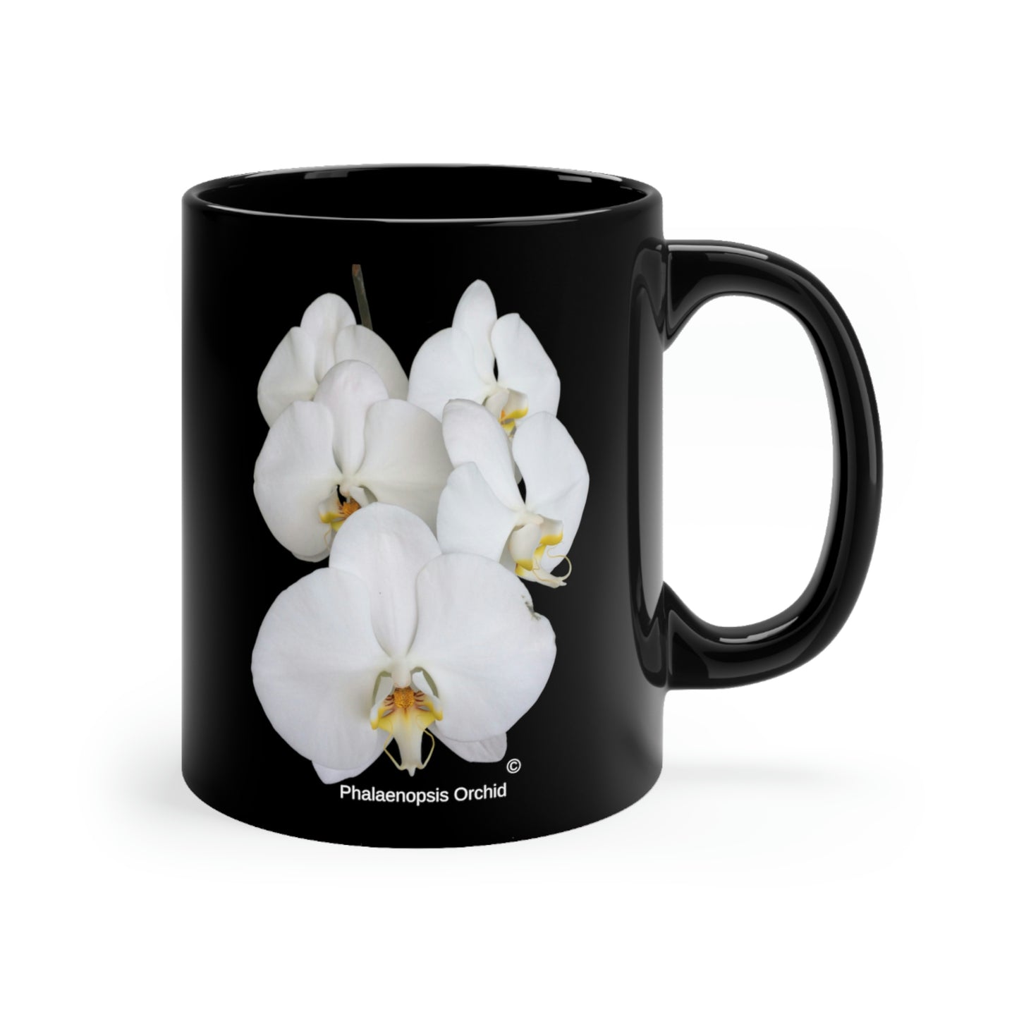 White Phalaenopsis Orchid Coffee Mug