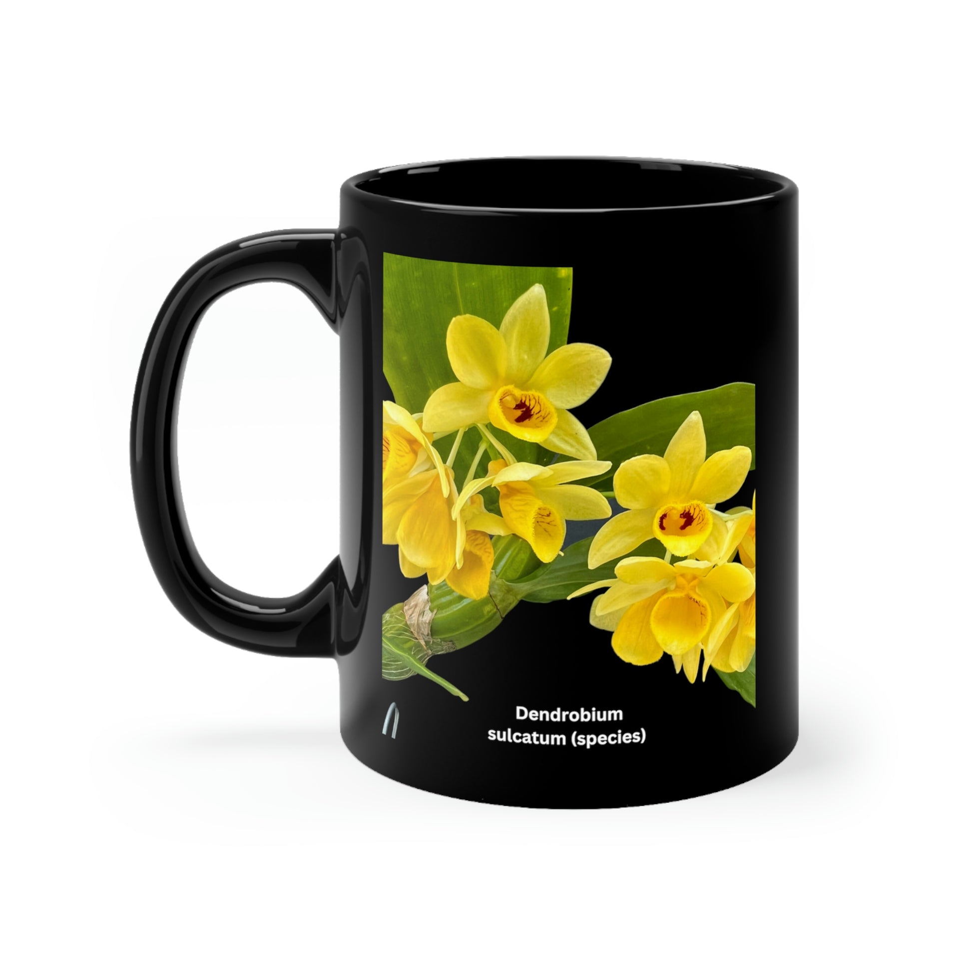 Dendrobium Sulcatum Orchid Coffee Mug