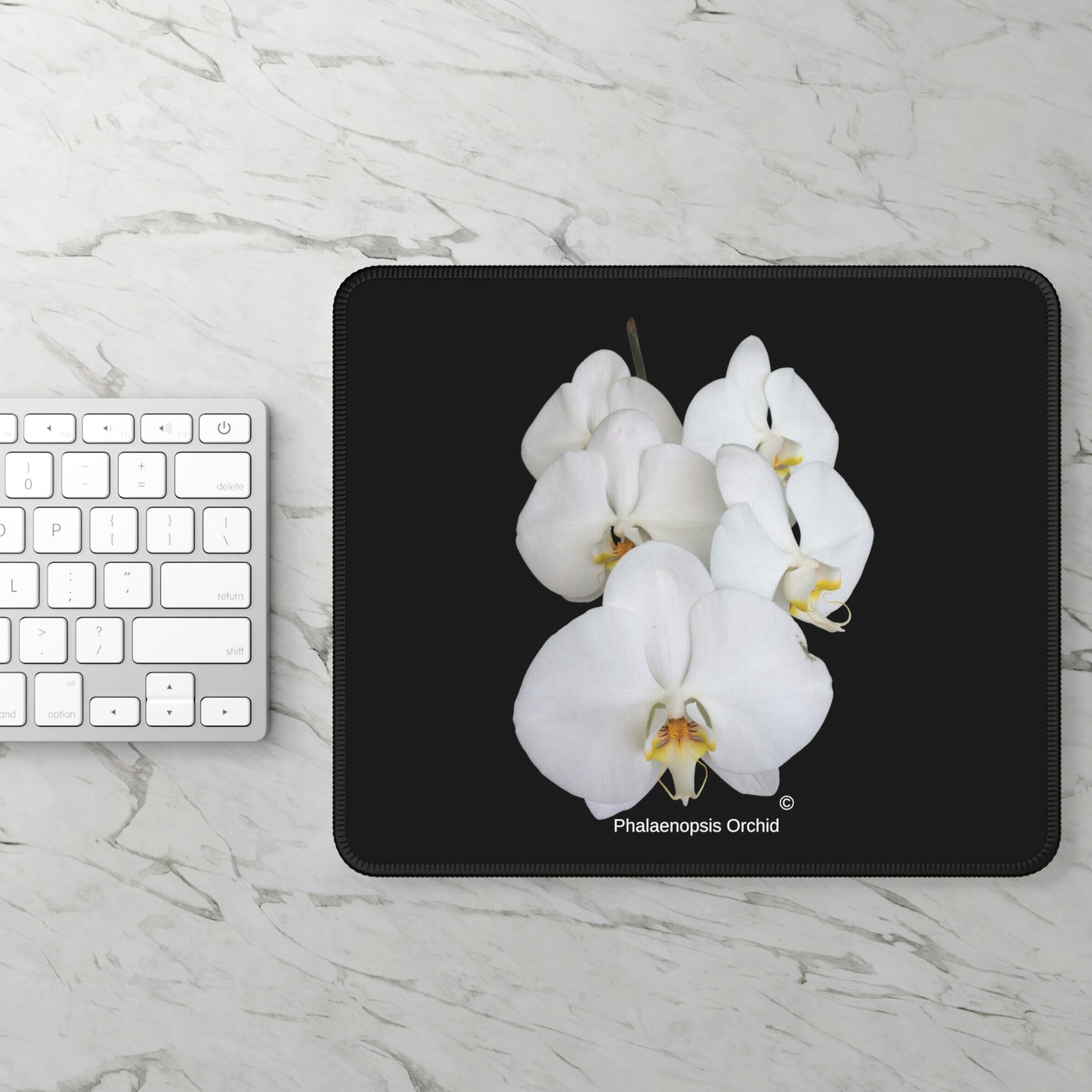 White Phalaenopsis Orchid Mouse Pad