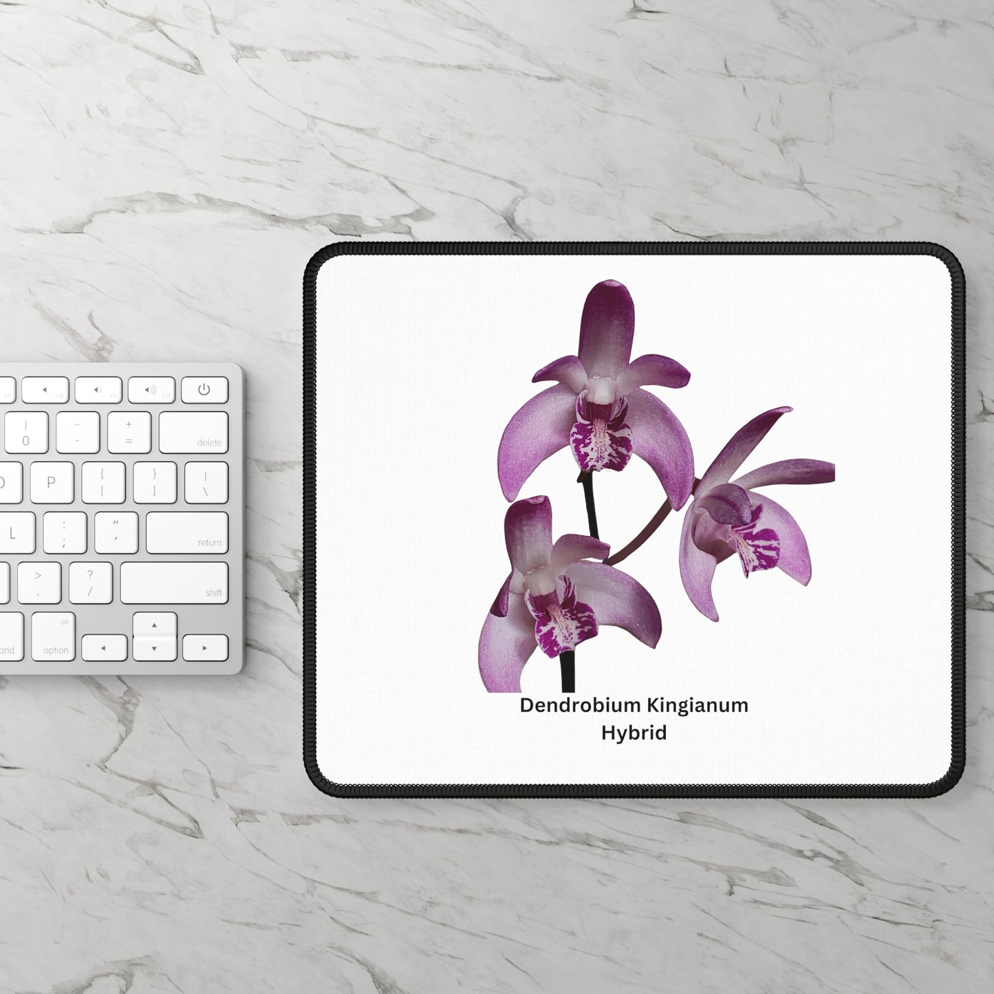 Dendrobium Kingianum Hybrid Orchid Mouse Pad