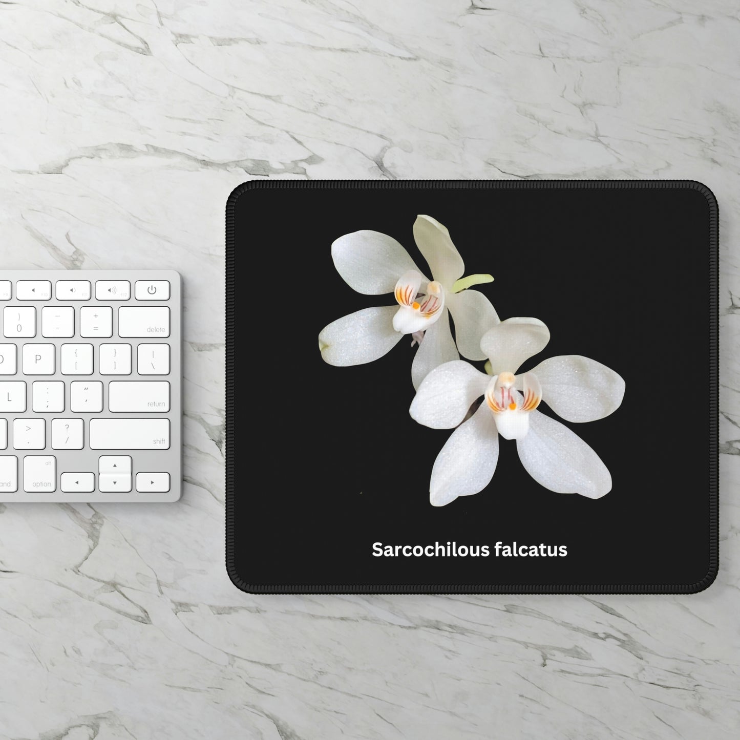 Sarcochilous falcatus Orchid Mouse Pad