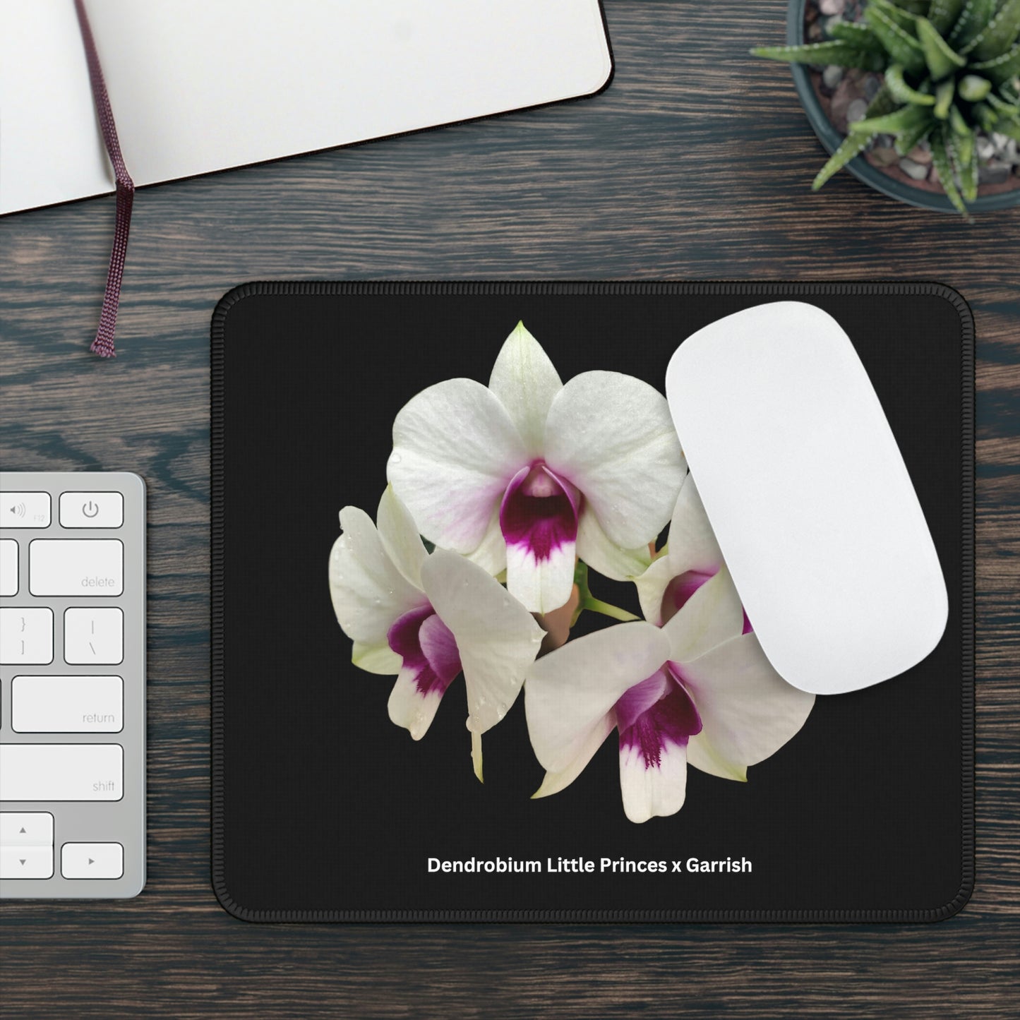 Dendrobium Little Princess x Garrish Orchid Mouse Pad