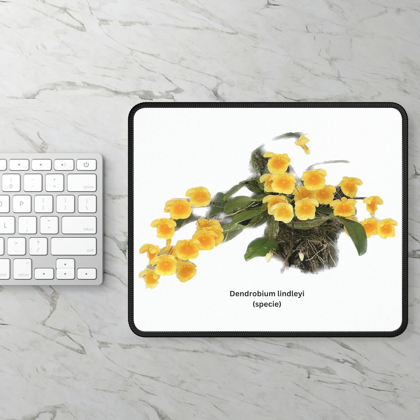 Dendrobium lindleyi Orchid Mouse Pad