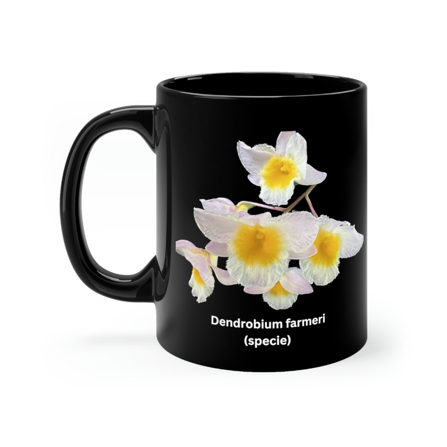 Dendrobium farmeri Orchid Coffee Mug