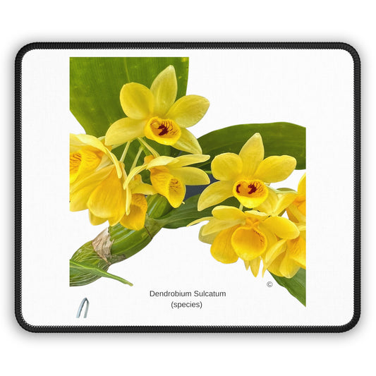 Dendrobium Sulcatum Orchid Mouse Pad