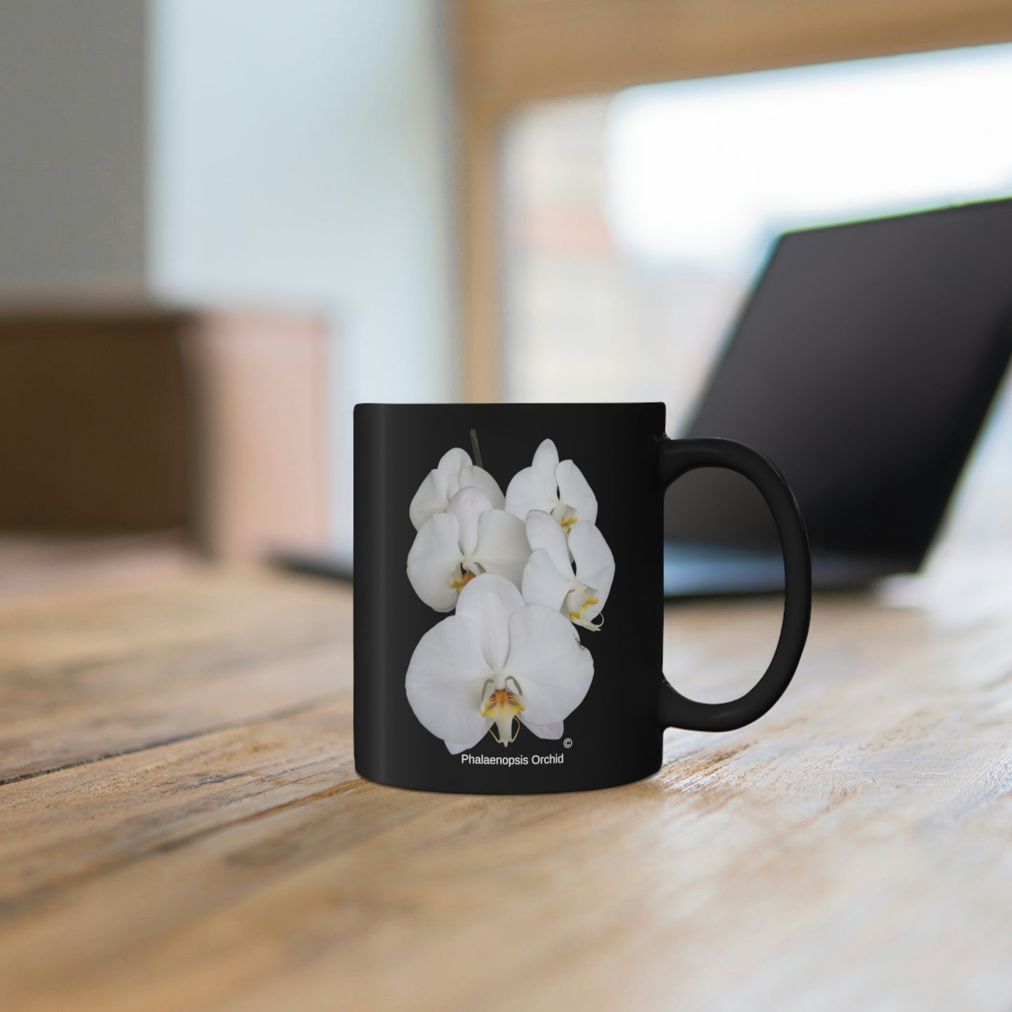 White Phalaenopsis Orchid Coffee Mug