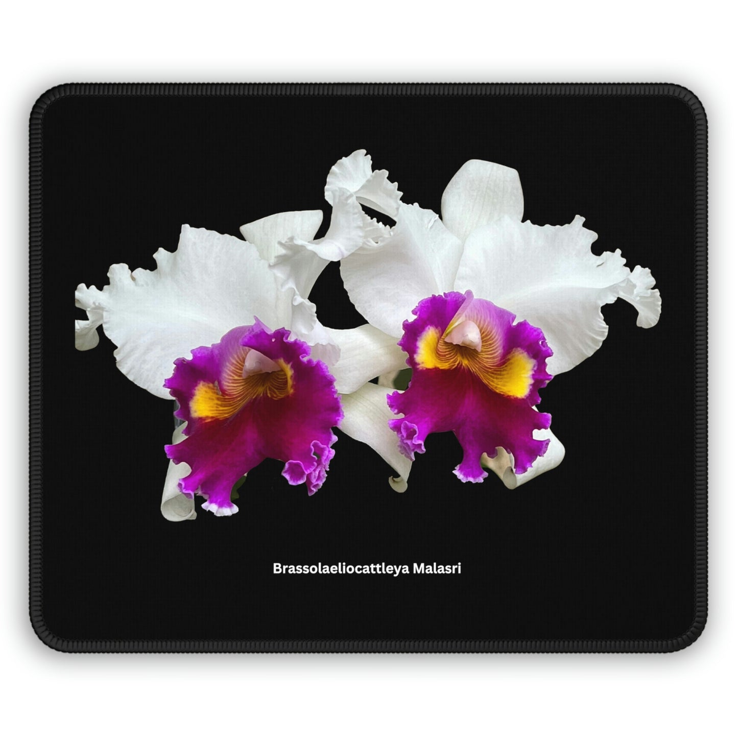 Brassolaeliocattleya Malasri Orchid Mouse Pad