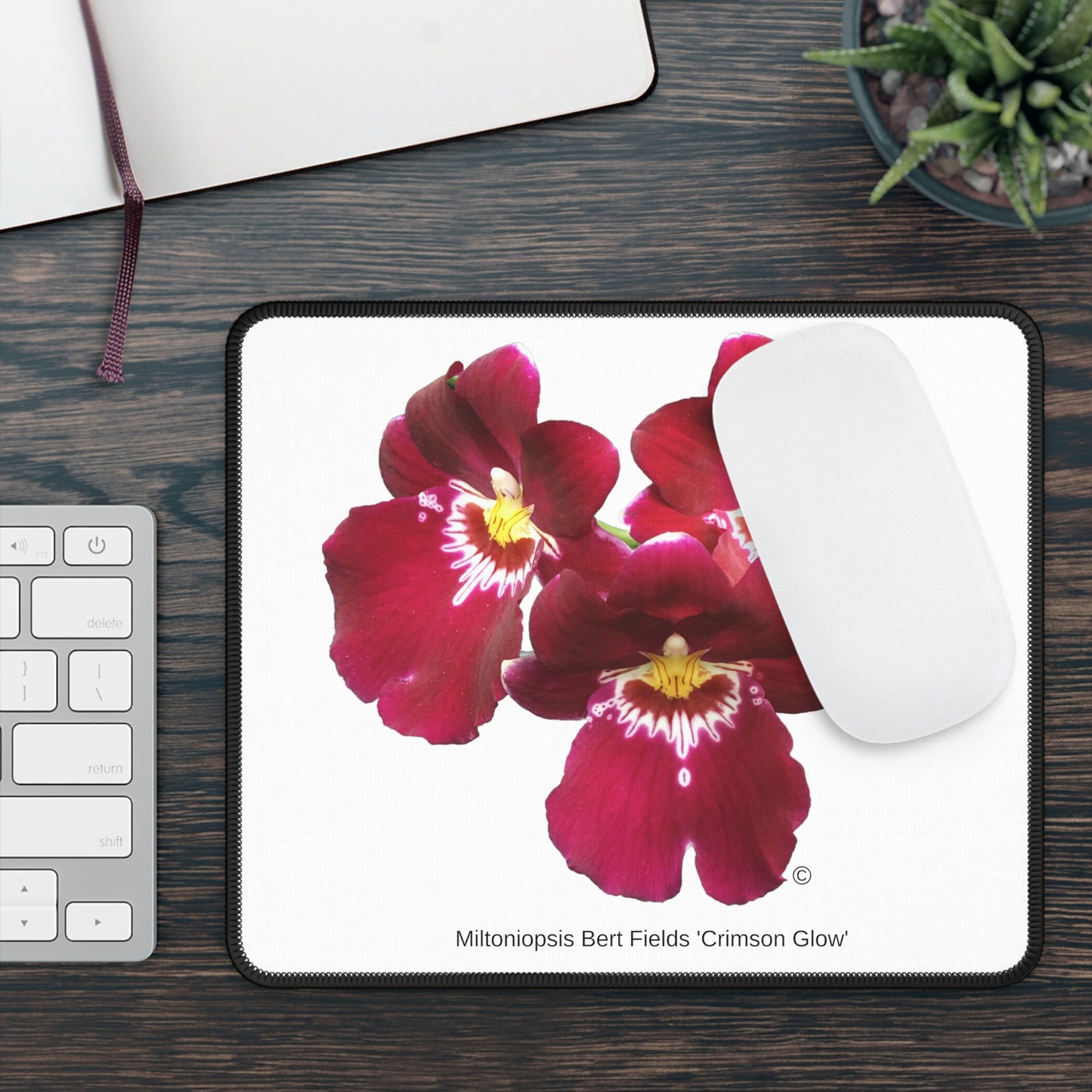 Miltoniopsis Bert Fields 'Crimson Glow' Mouse Pad