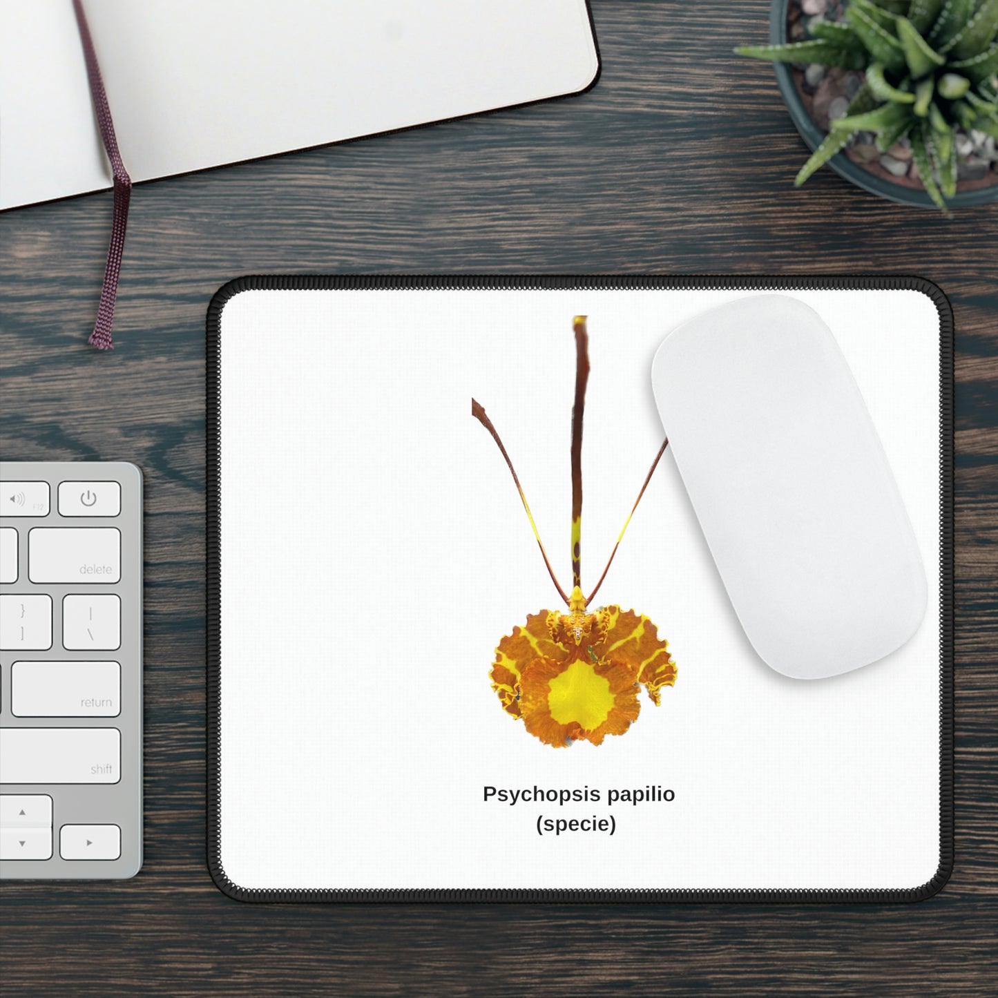 Psychopsis papilio Orchid Mouse Pad