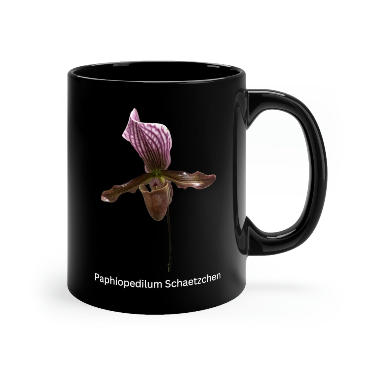 Paphiopedilum Schaetzchen Orchid Coffee Mug