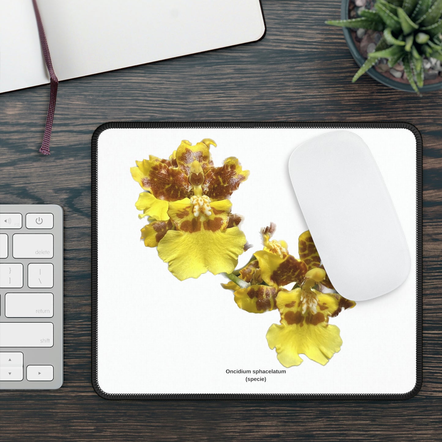 Oncidium sphacelatum Orchid Mouse Pad