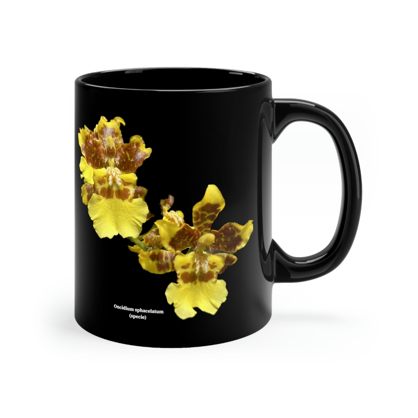 Oncidium sphacelatum Orchid Coffee Mug