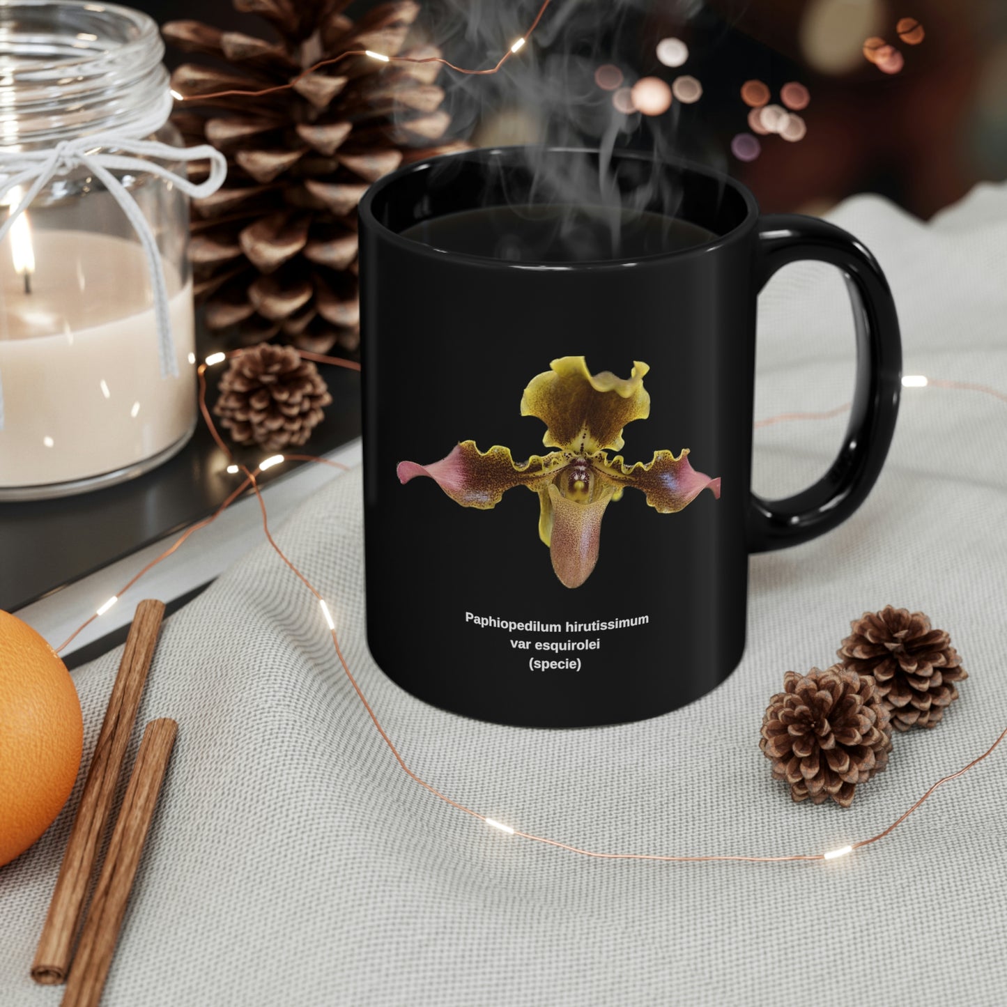 Paphiopedilum hirsutissimum var esquirolei Orchid Coffee Mug