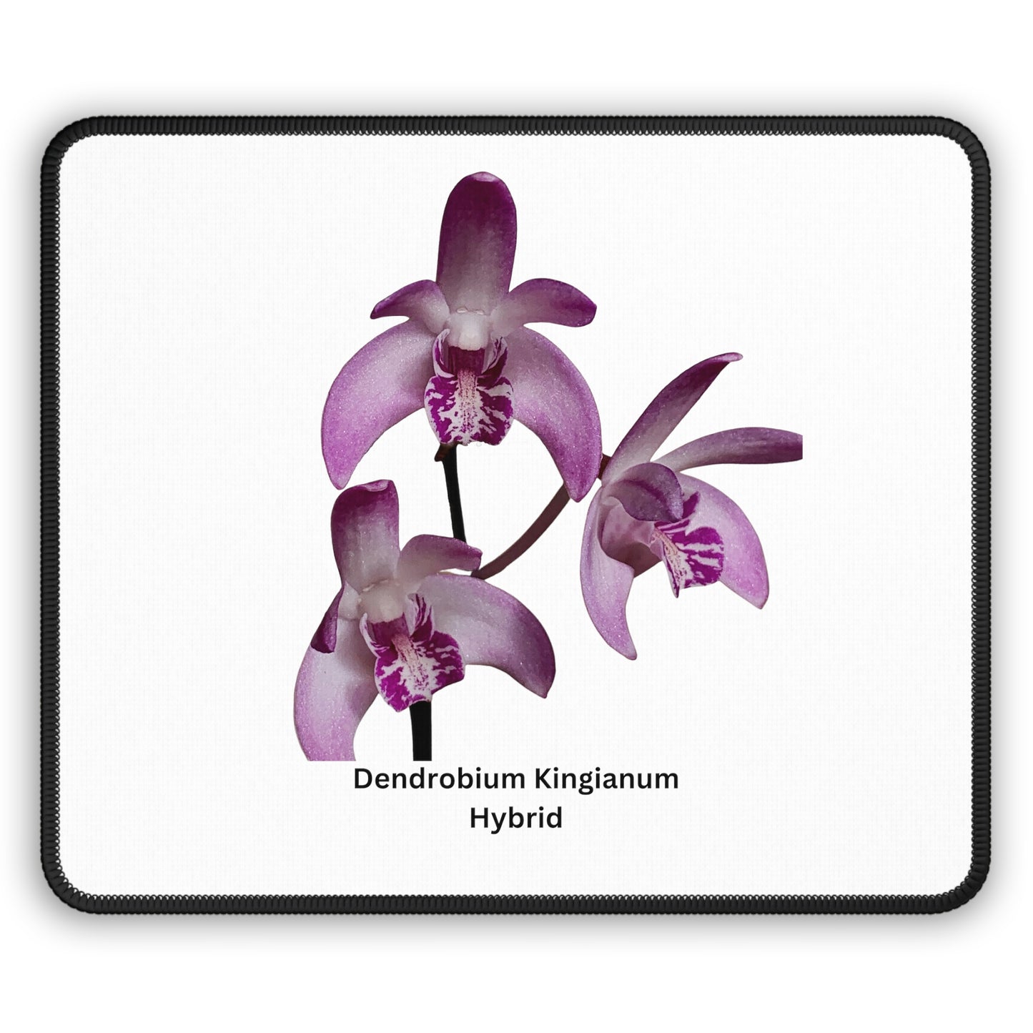 Dendrobium Kingianum Hybrid Orchid Mouse Pad