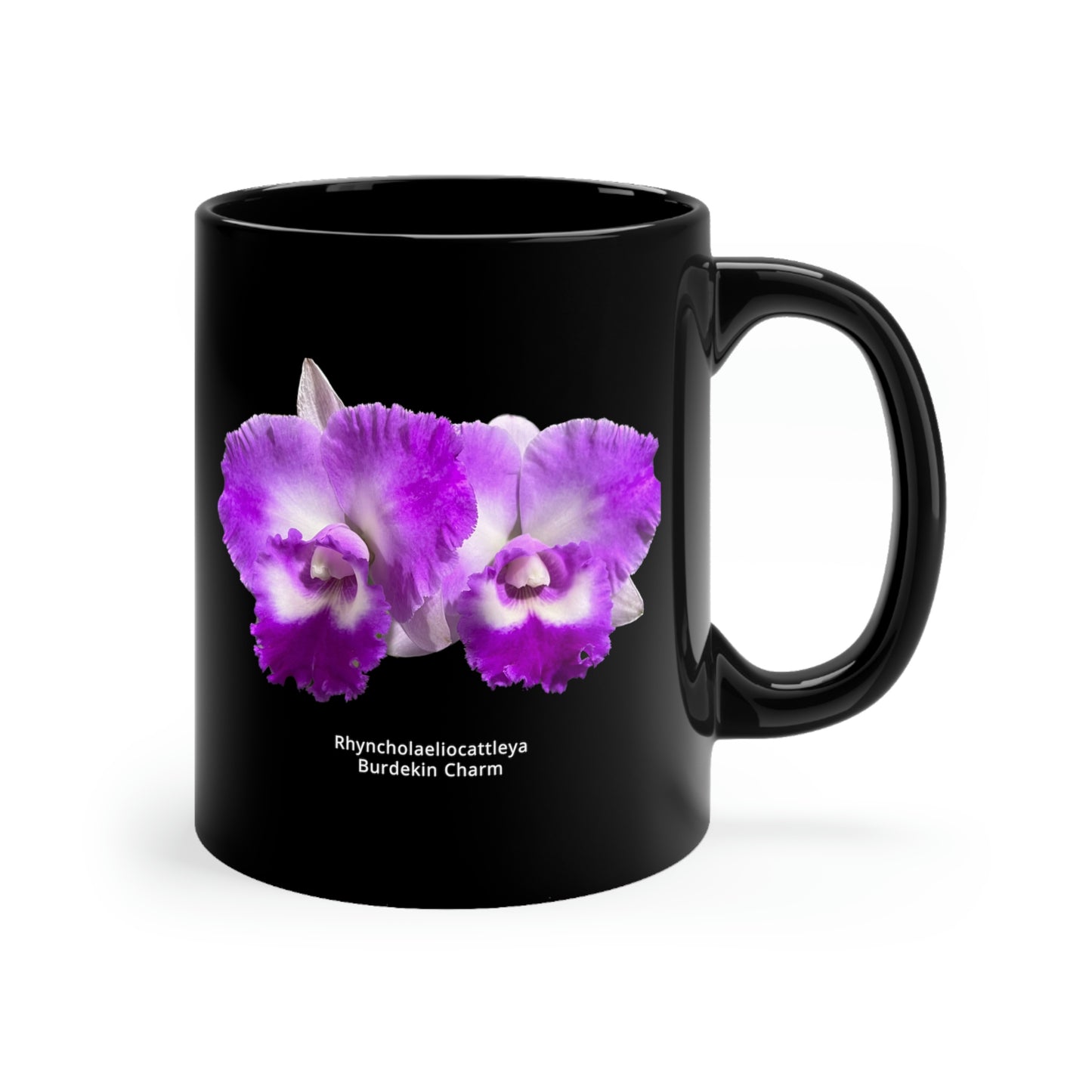 Rhyncholaeliocattleya Burdekin Charm Orchid Coffee Mug