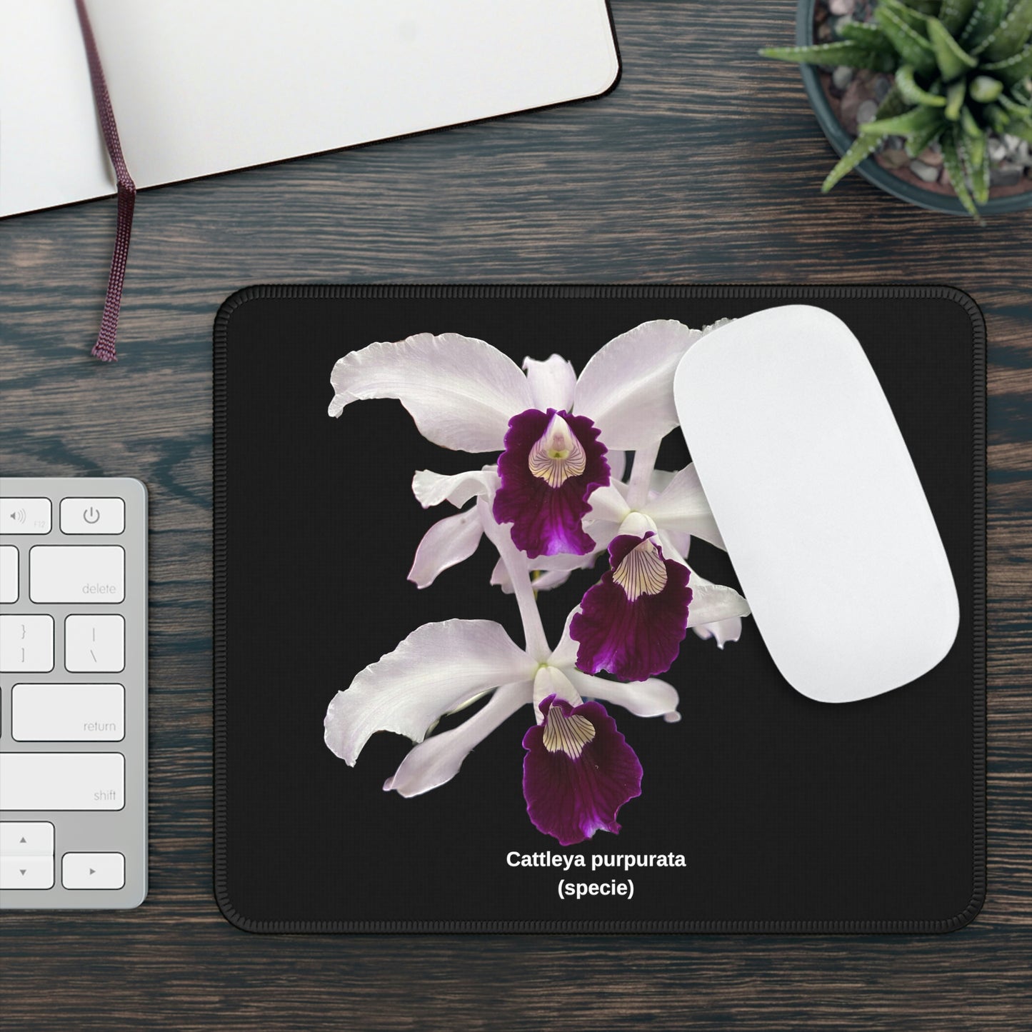 Cattleya purpurata Orchid Mouse Pad