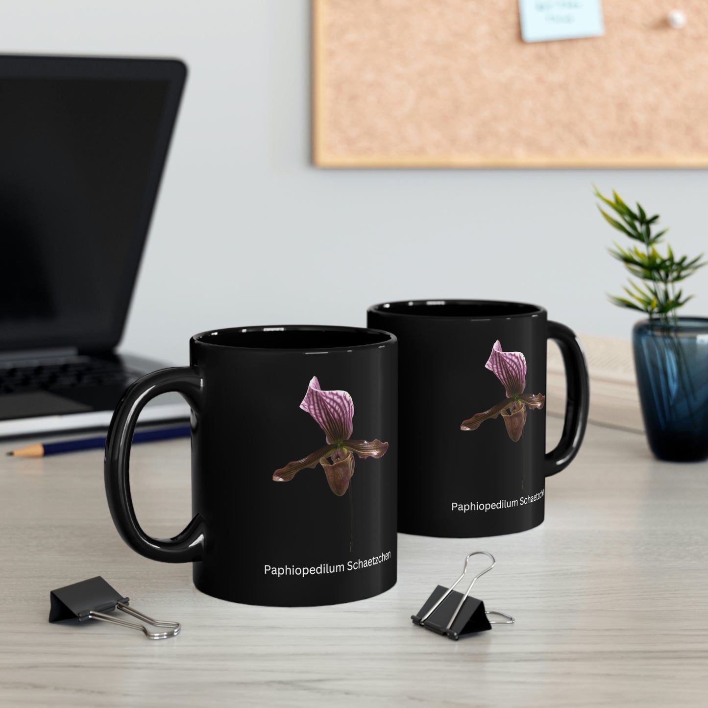 Paphiopedilum Schaetzchen Orchid Coffee Mug