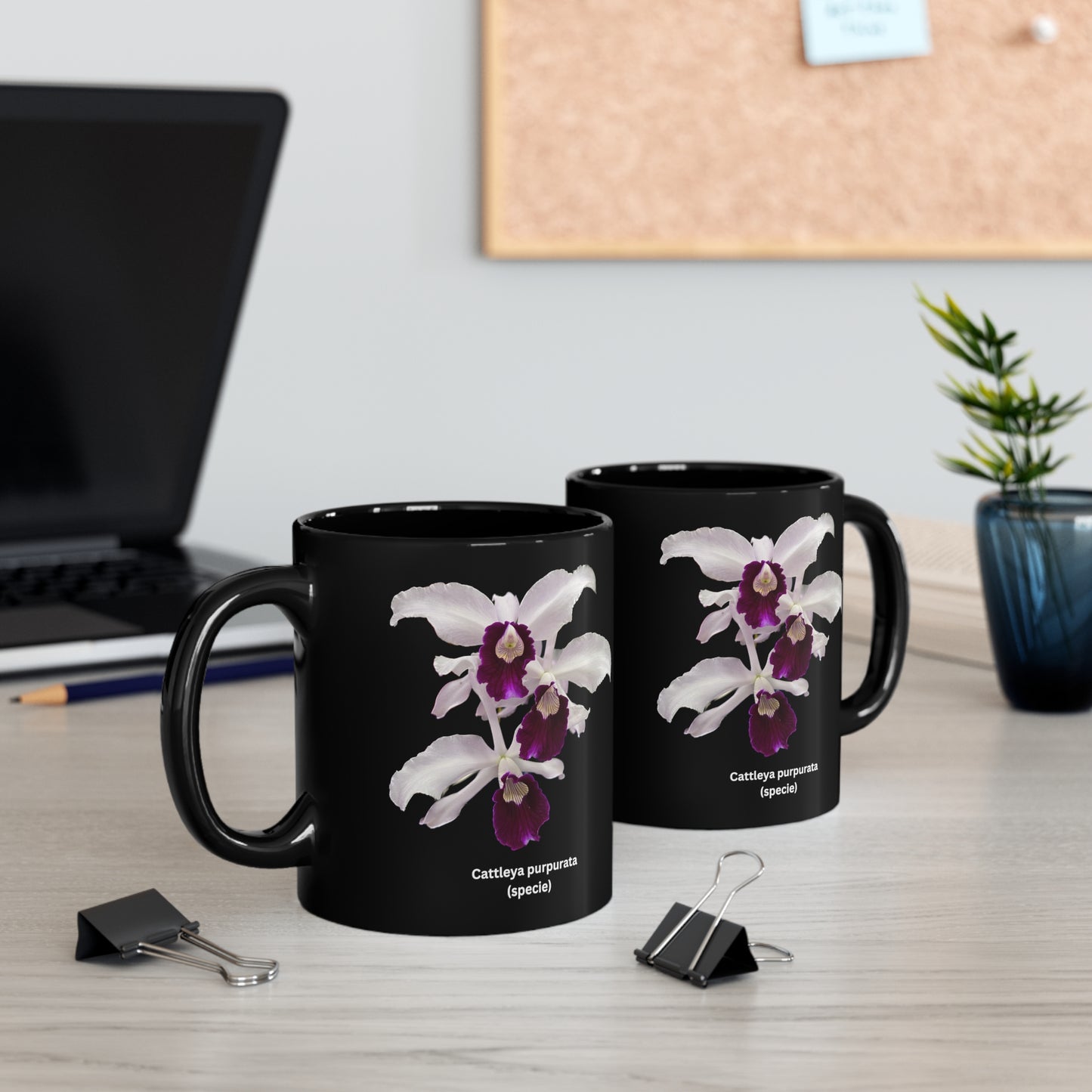 Cattleya purpurata Orchid Coffee Mug