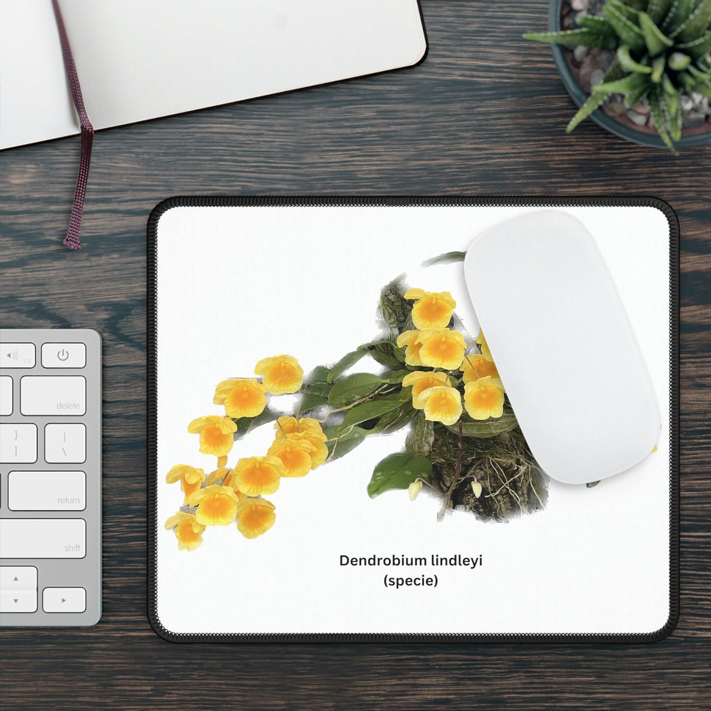 Dendrobium lindleyi Orchid Mouse Pad