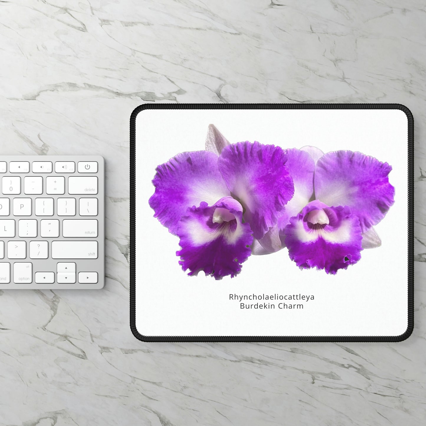 Rhyncholaeliocattleya Burdekin Charm Orchid Mouse Pad