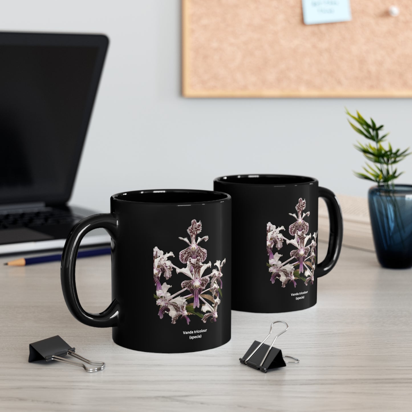 Vanda tricolor Orchid Coffee Mug