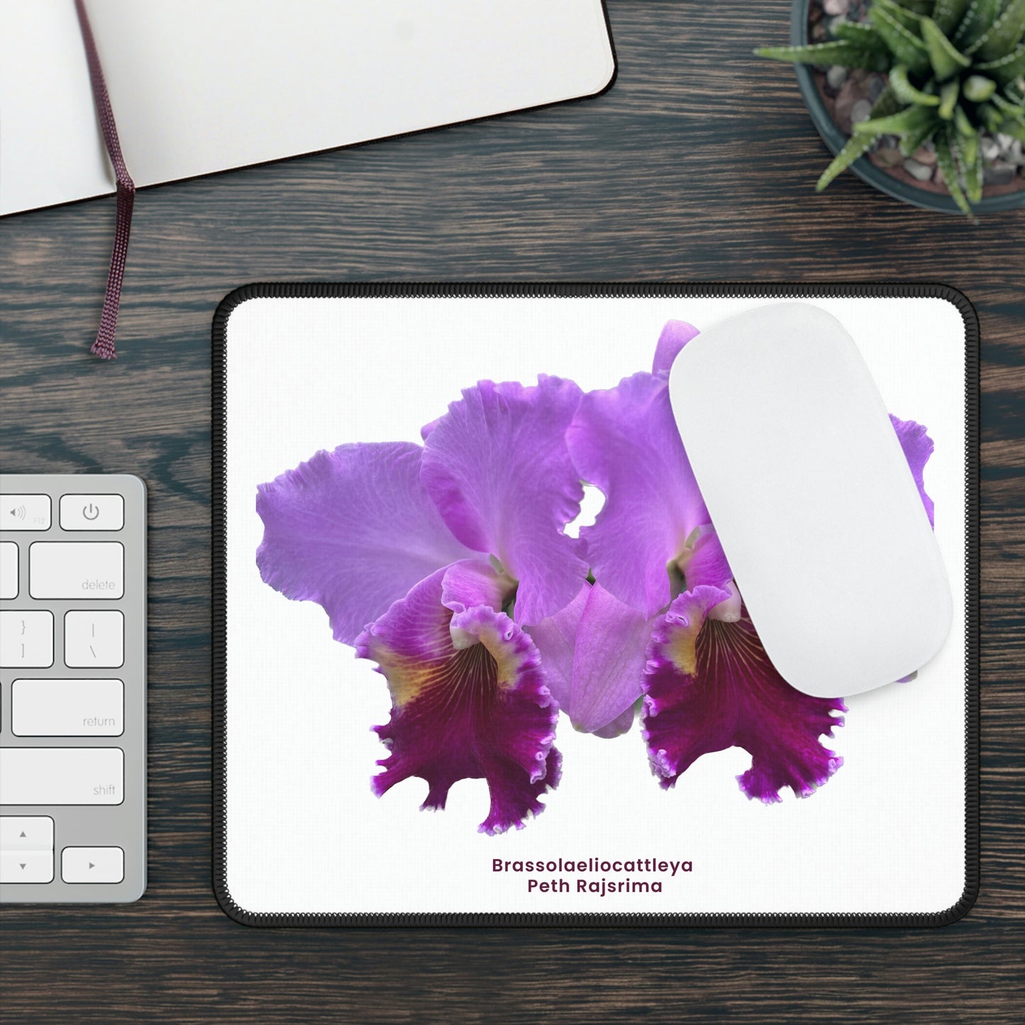 Brassolaeliocattleya Peth Rasjrima Orchid Mouse Pad