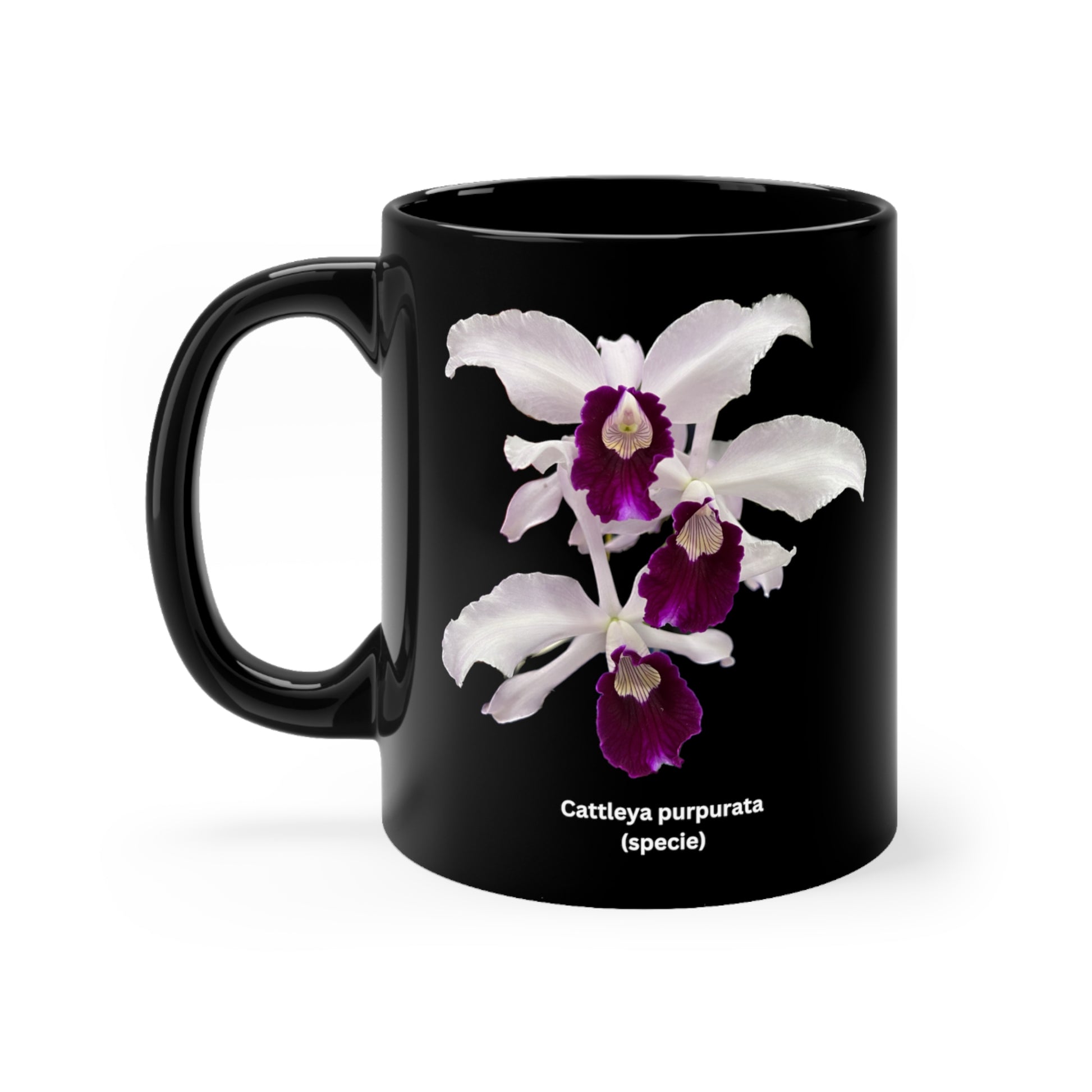 Cattleya purpurata Orchid Coffee Mug