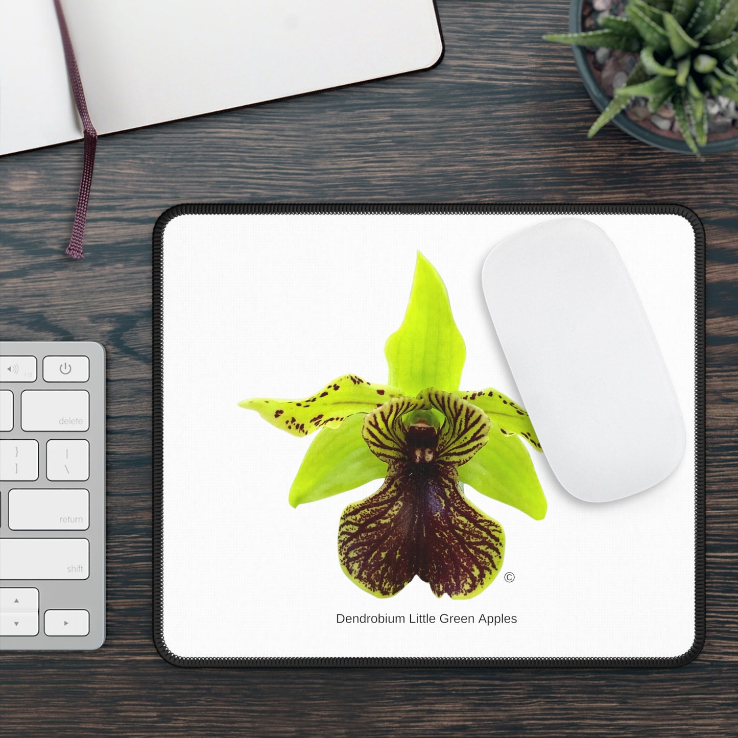 Dendrobium Little Green Apples Orchid Mouse Pad