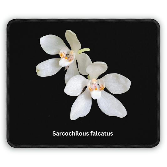 Sarcochilous falcatus Orchid Mouse Pad