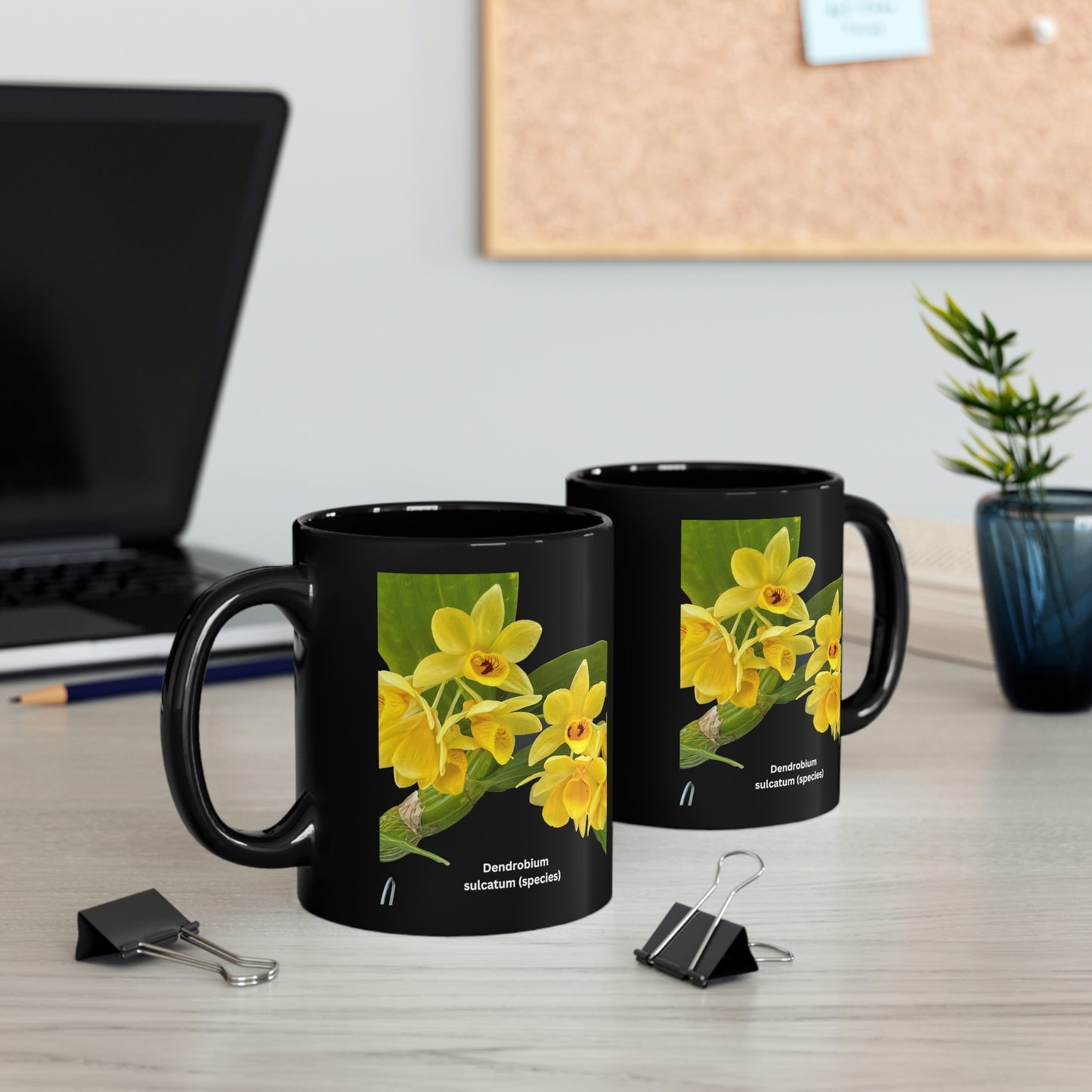 Dendrobium Sulcatum Orchid Coffee Mug