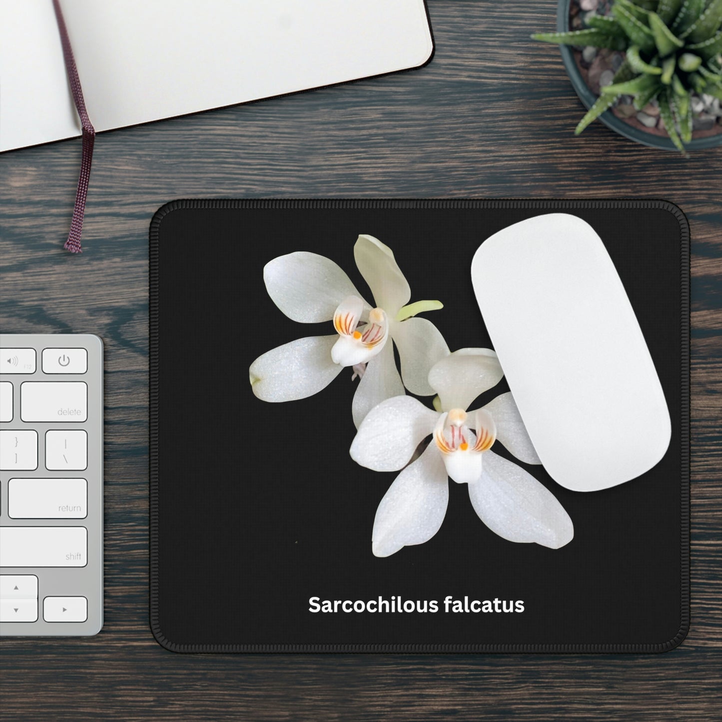 Sarcochilous falcatus Orchid Mouse Pad