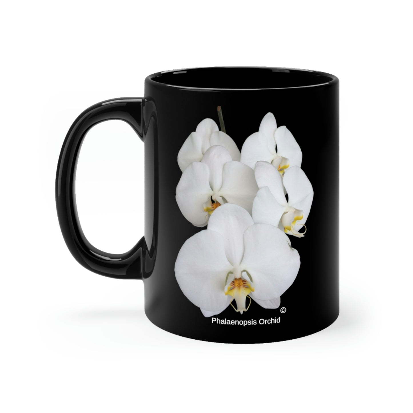 White Phalaenopsis Orchid Coffee Mug