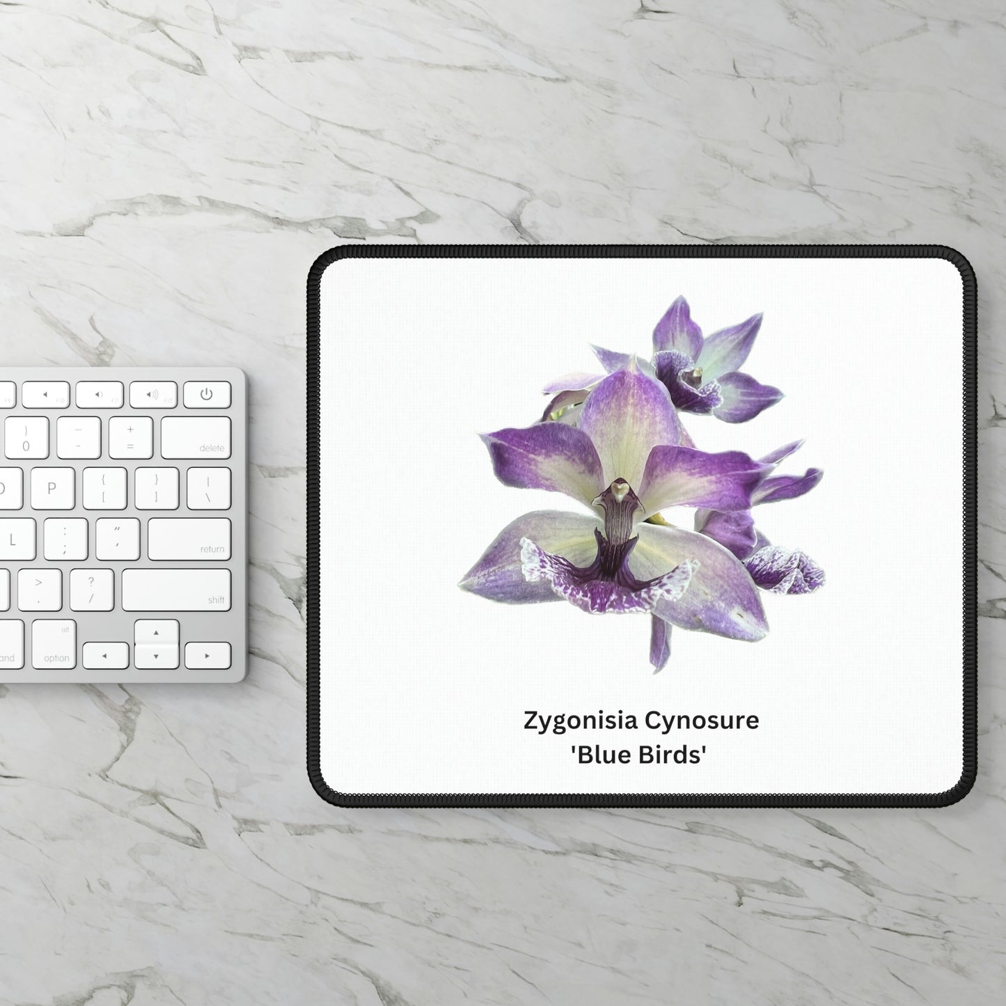 Zygonisia Cynosure ' Blue Bird' Orchid Mouse Pad