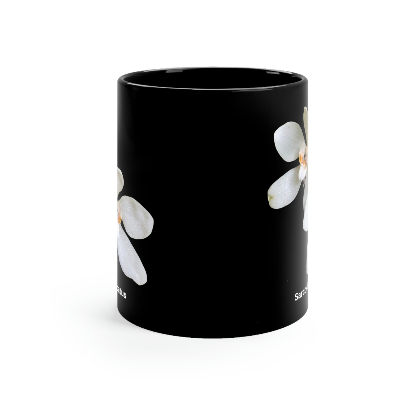 Sarcochilous falcatus Orchid Coffee Mug