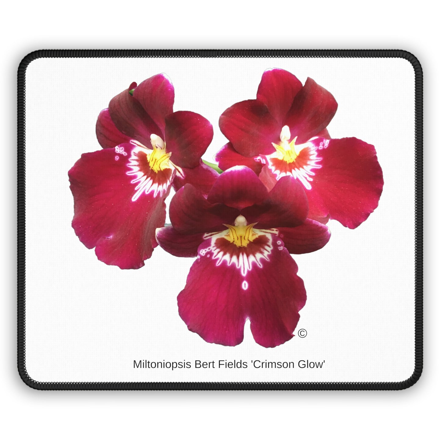 Miltoniopsis Bert Fields 'Crimson Glow' Mouse Pad