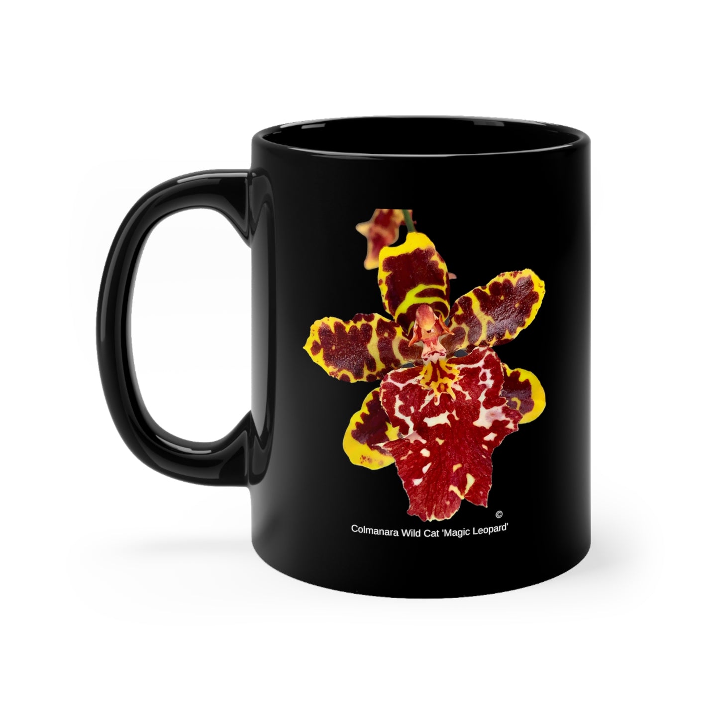 Colmanara Wild Cat 'Magic Leopard' Orchid Coffee Mug