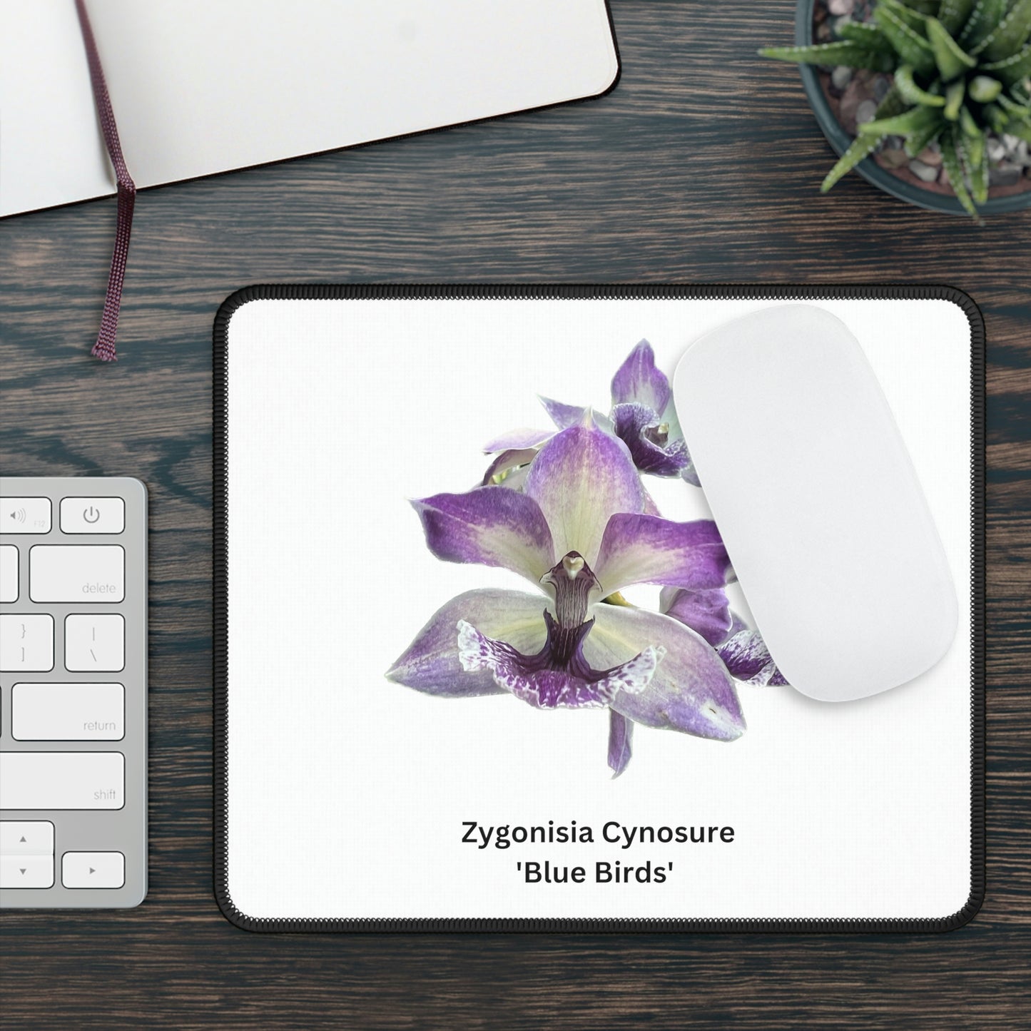 Zygonisia Cynosure ' Blue Bird' Orchid Mouse Pad