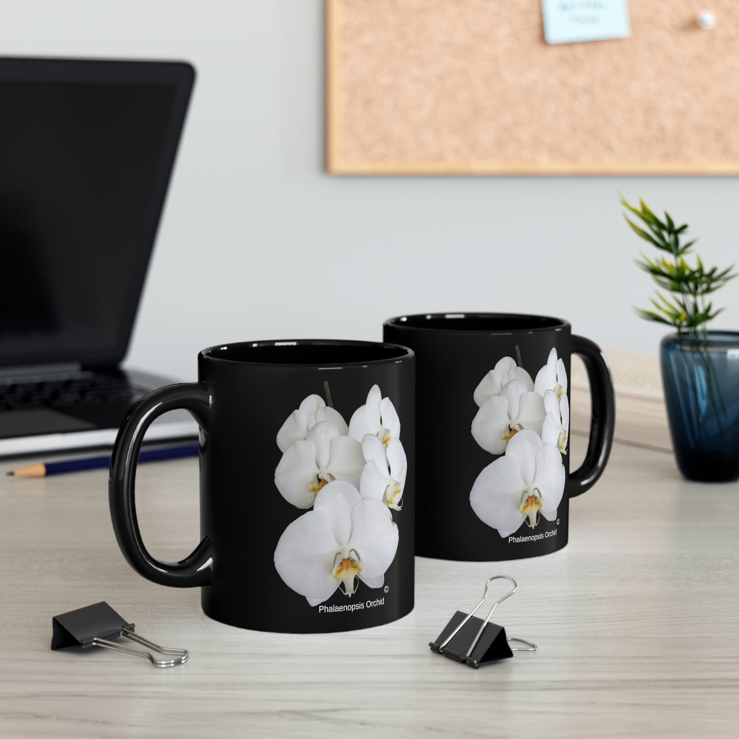 White Phalaenopsis Orchid Coffee Mug