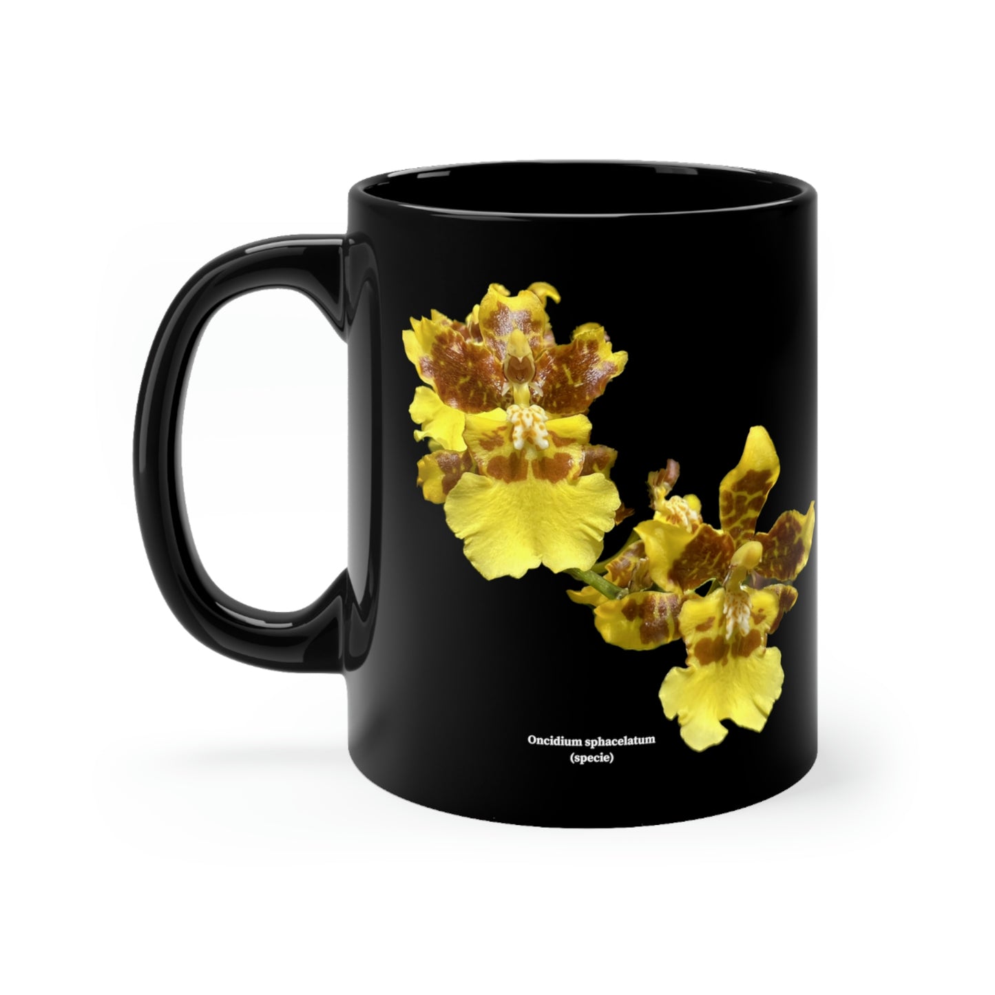 Oncidium sphacelatum Orchid Coffee Mug