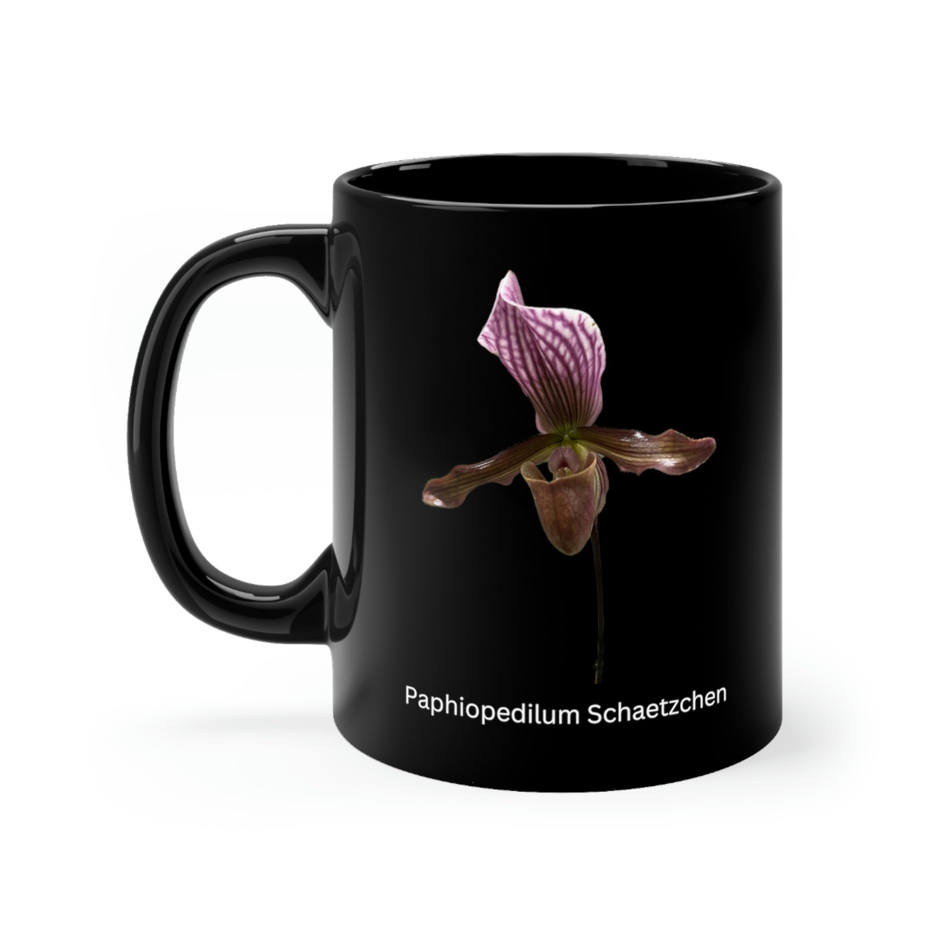 Paphiopedilum Schaetzchen Orchid Coffee Mug