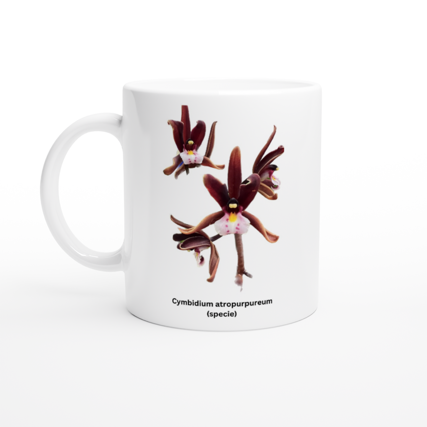 Cymbidium atropurpureum Orchid Coffee Mug