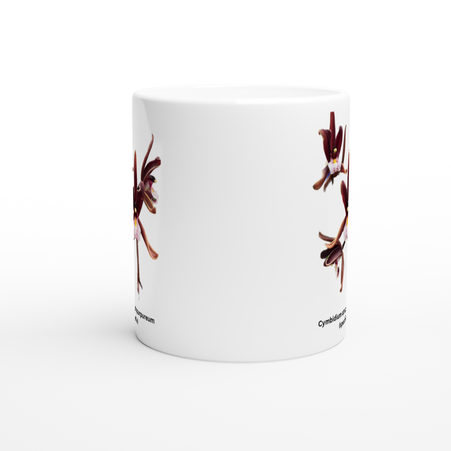 Cymbidium atropurpureum Orchid Coffee Mug