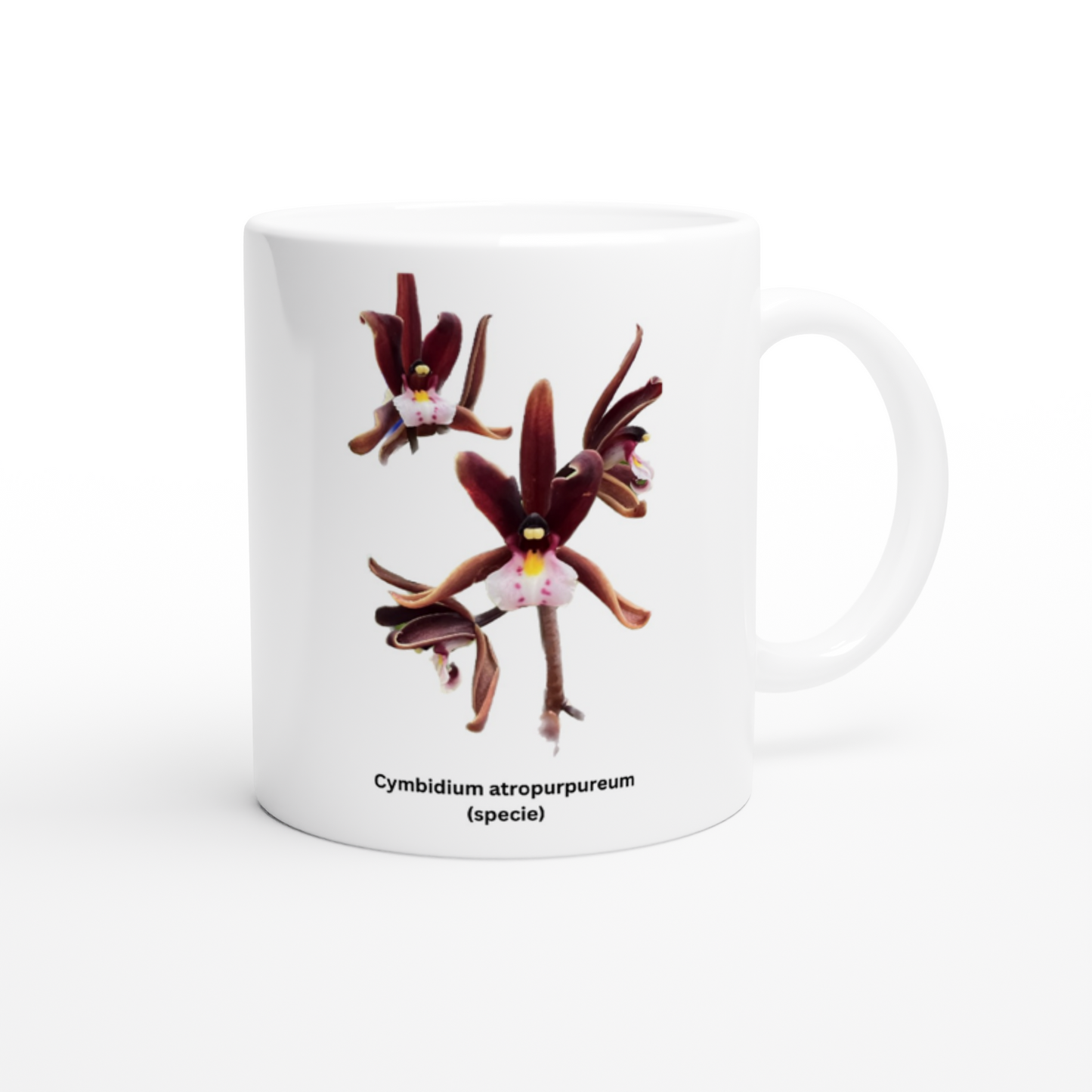 Cymbidium atropurpureum Orchid Coffee Mug