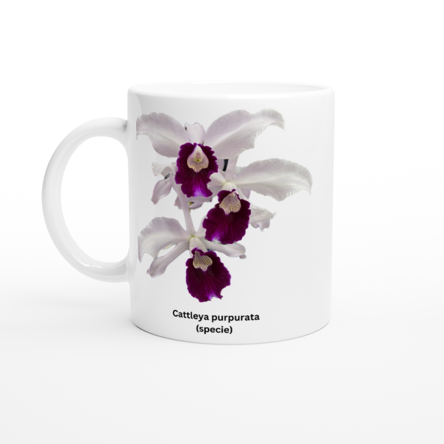 Cattleya purpurata Orchid Coffee Mug